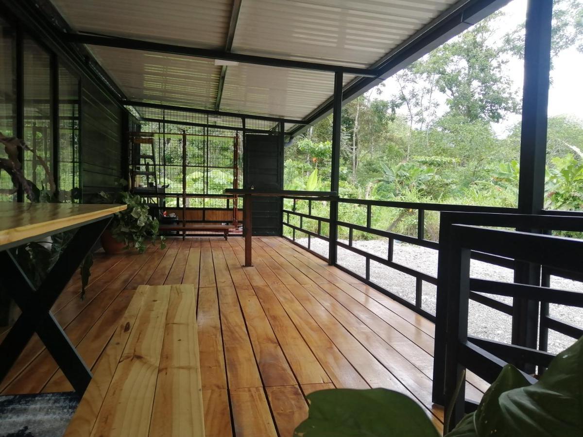 Casa Onca *