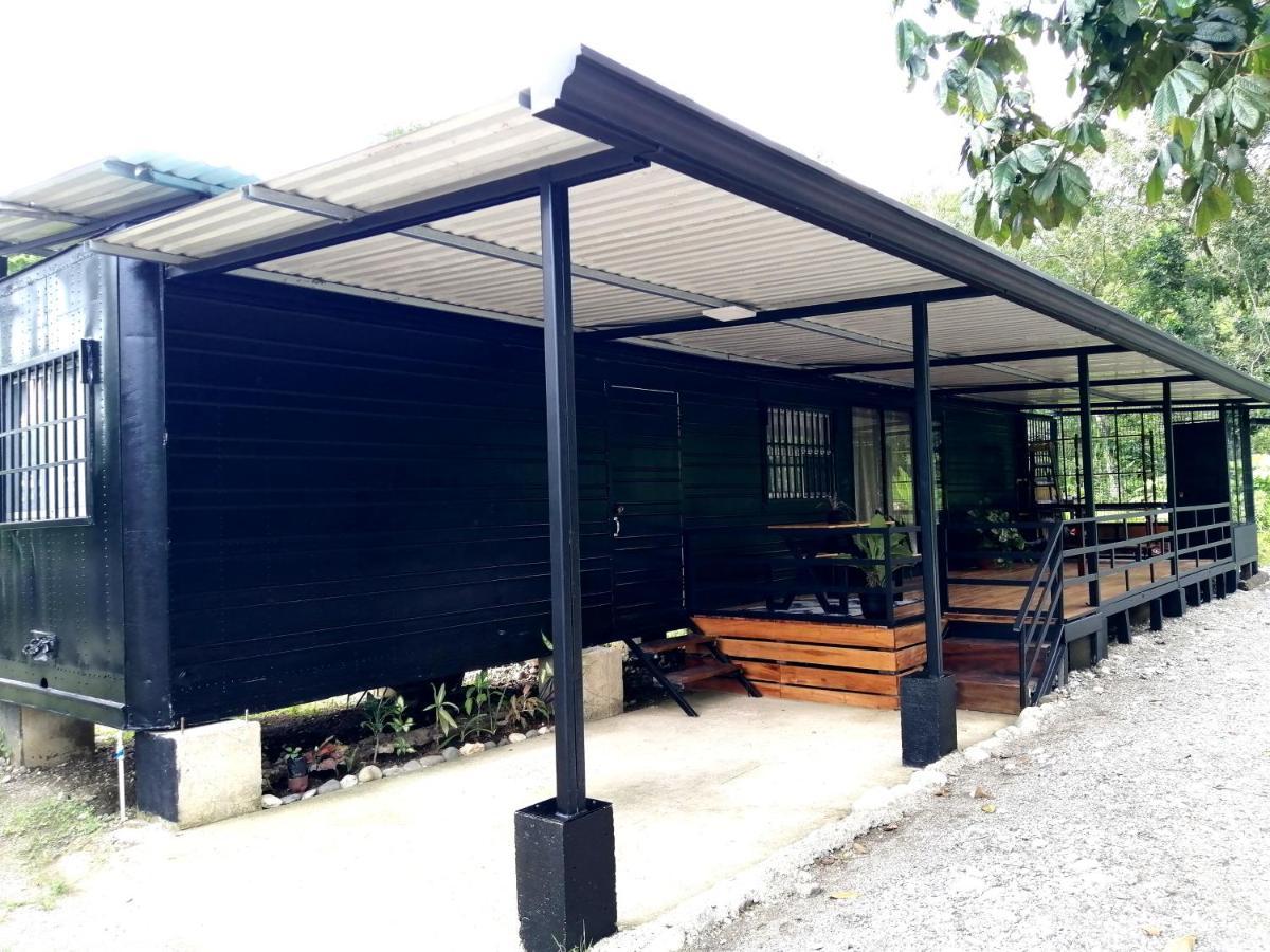 Casa Onca Appartement