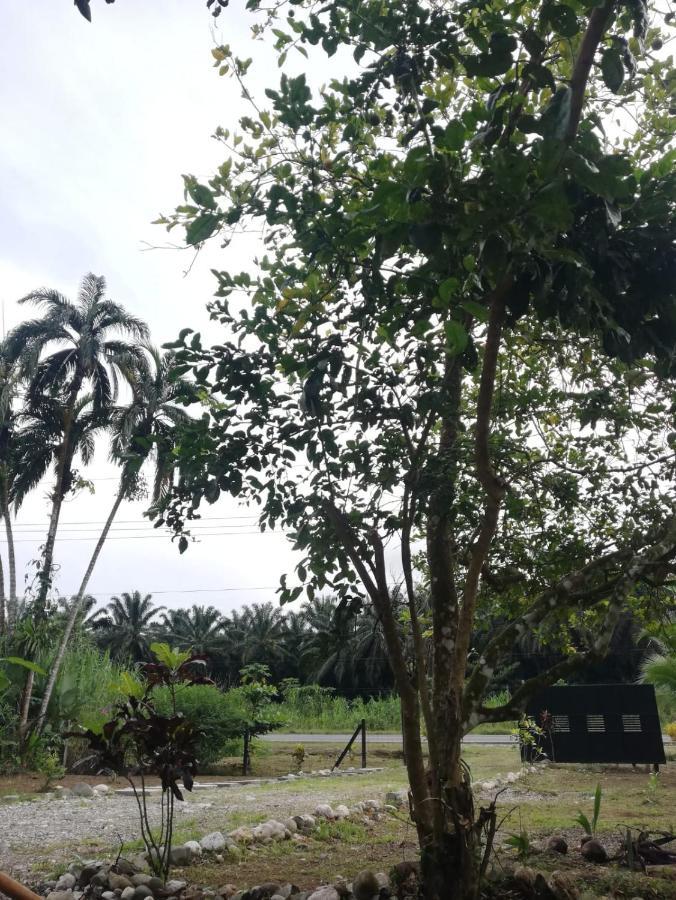 Casa Onca Rio Claro